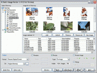 Batch Image Resizer screenshot